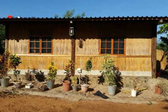 chobe national park