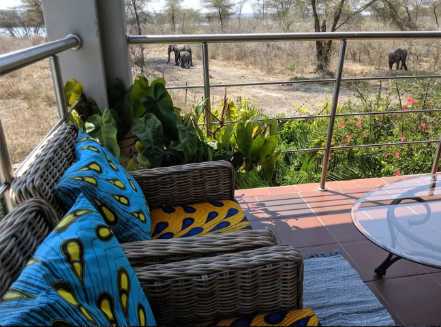 chobe national park