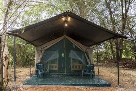 maasai mara