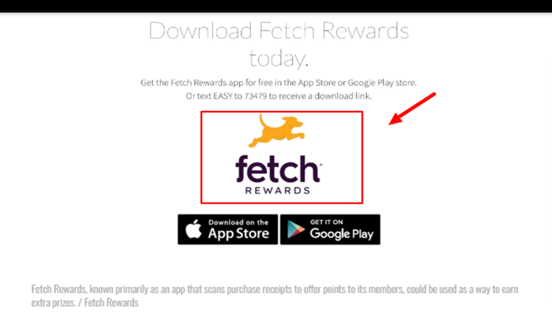 Fetch Rewards Fortnite