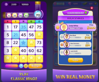 Bingo Cash Review: Can You Win Real Money?