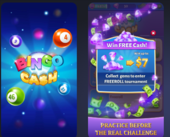 Bingo Cash Review: Can You Win Real Money?